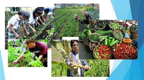 slogan sa pagtatanim|Ang kahalagahan ng greening o pagtatanim ng kahoy .